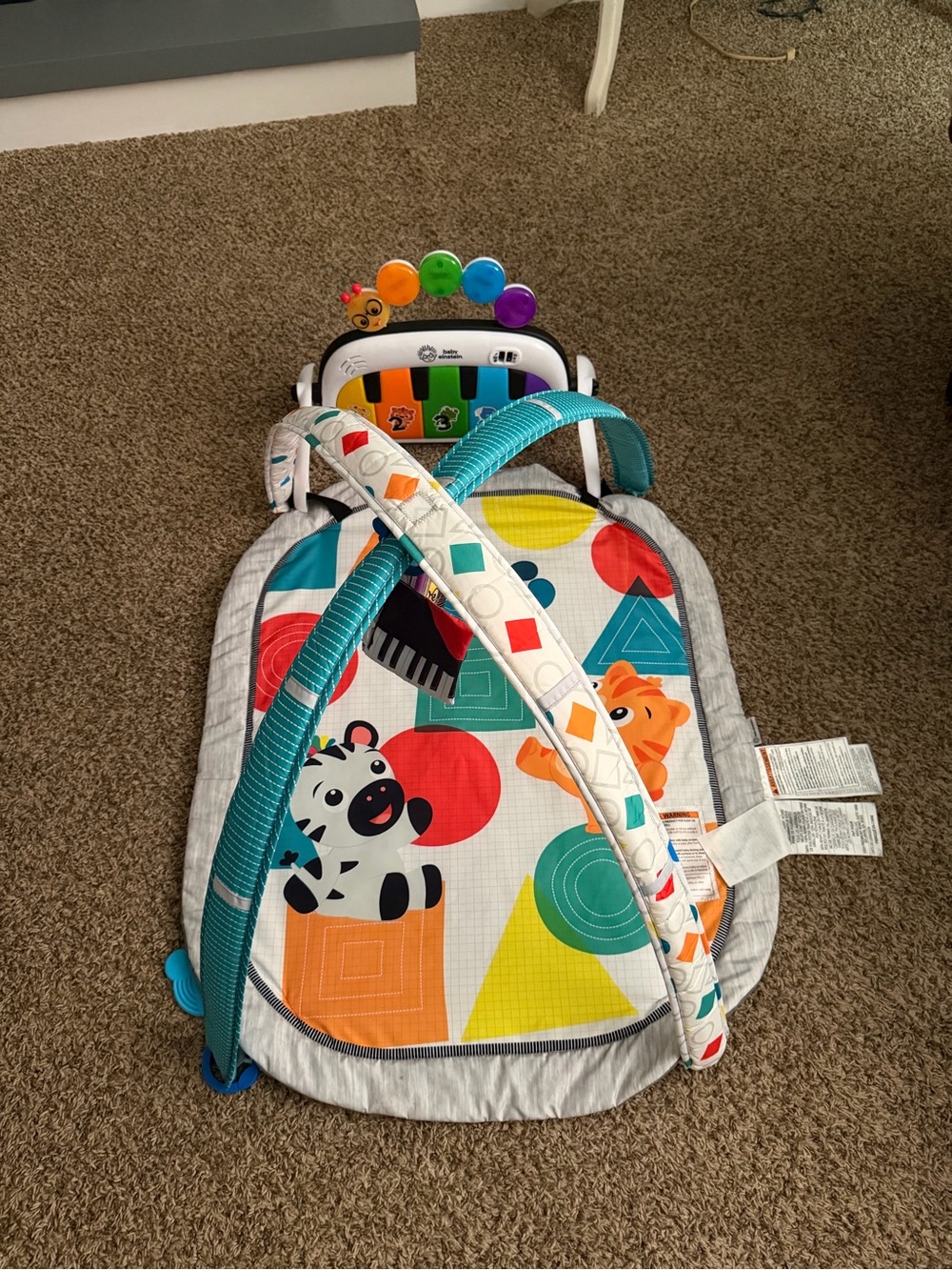 Baby Einstein Multi-Color Teal Baby Play Gym with Musical Piano